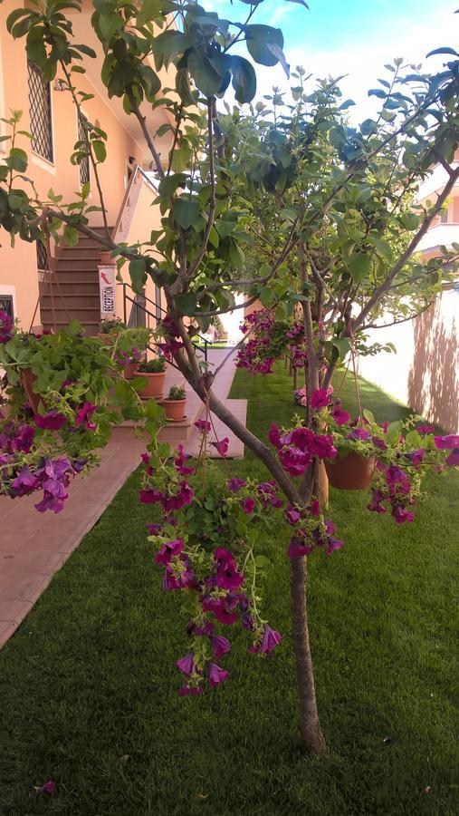 B&B Le Ortensie Fiumicino Exterior foto